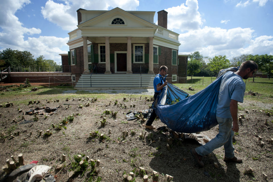 Poplar Forest removes 1850s-era boxwoods